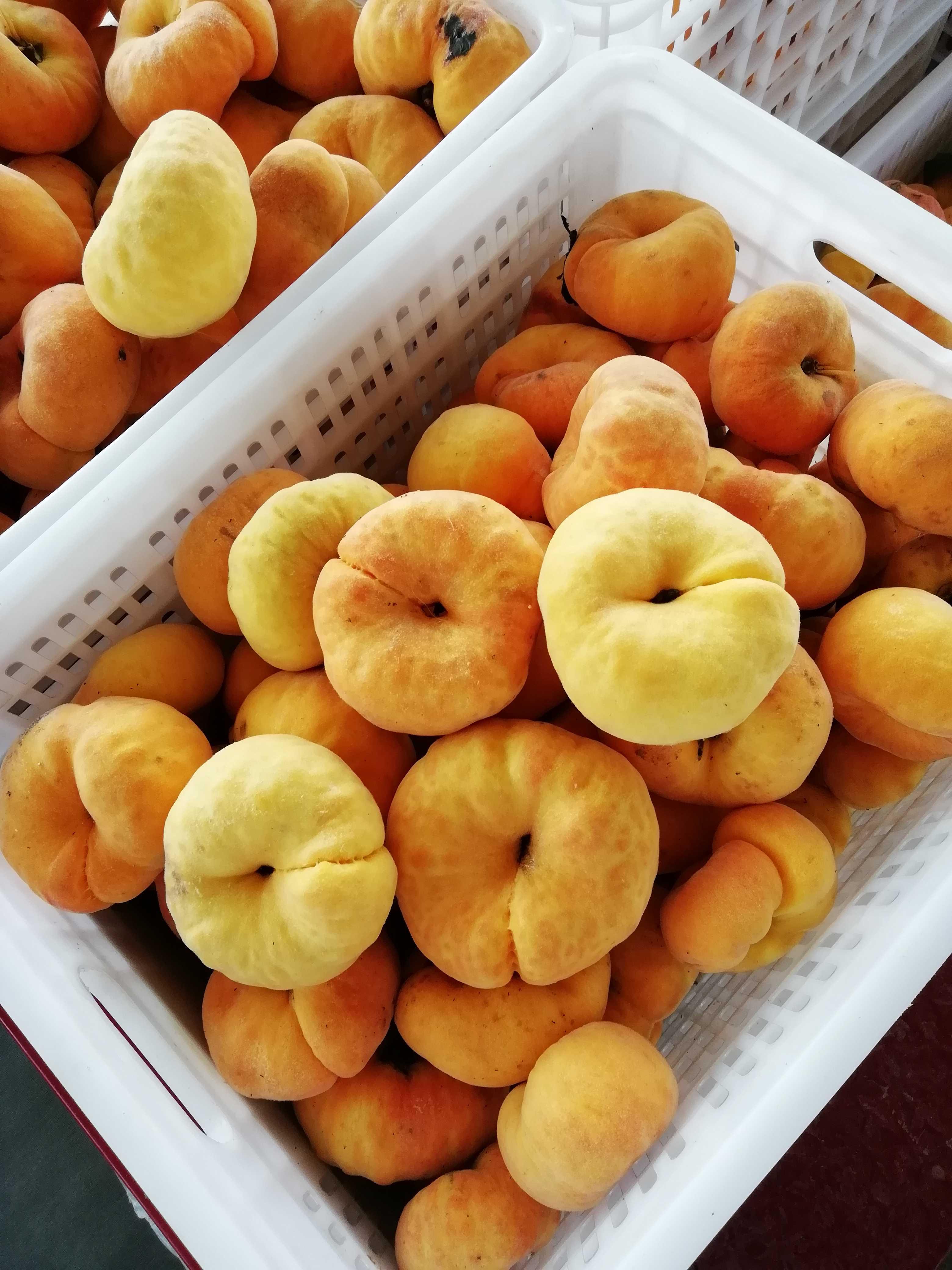 福島の桃 地域限定品 『黄金桃』約 2.5kg（8〜10個） - いづみ屋